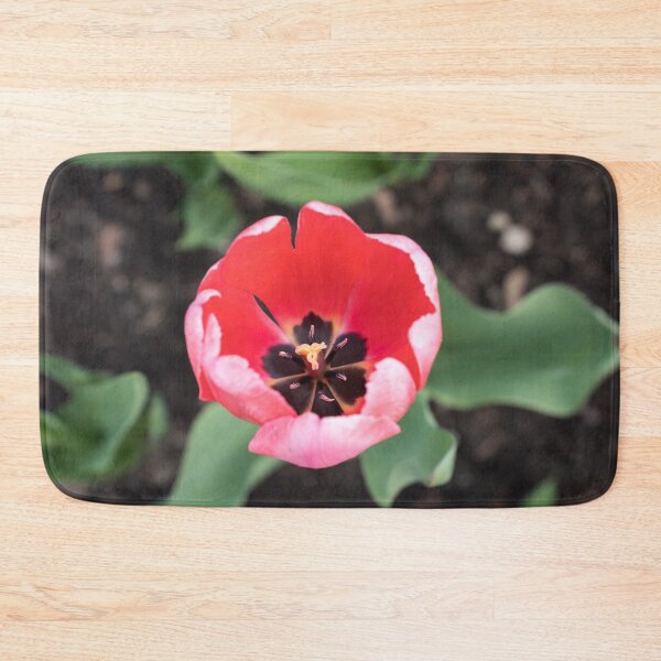Item preview, One Vibrant Pink Tulip in Bloom designed and sold by Georgia Mizuleva.