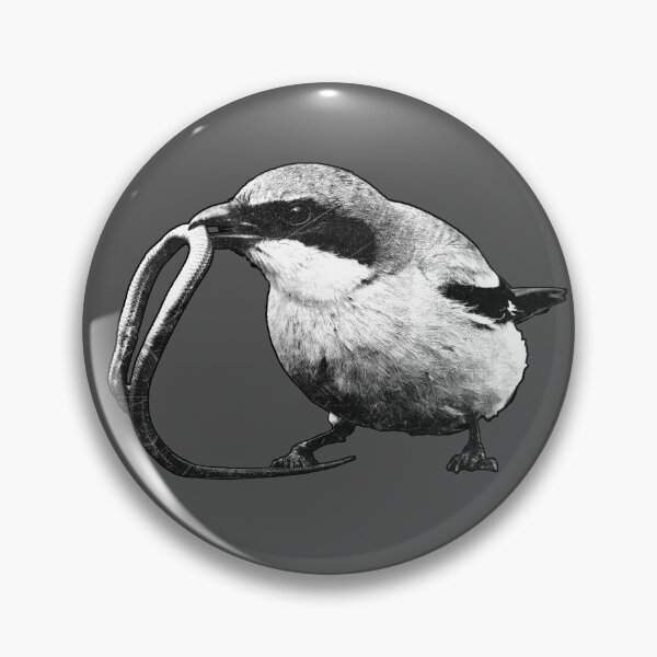 Item preview, Loggerhead Shrike Butcher Bird Etched Illustration designed and sold by Ghoul Enterprises.