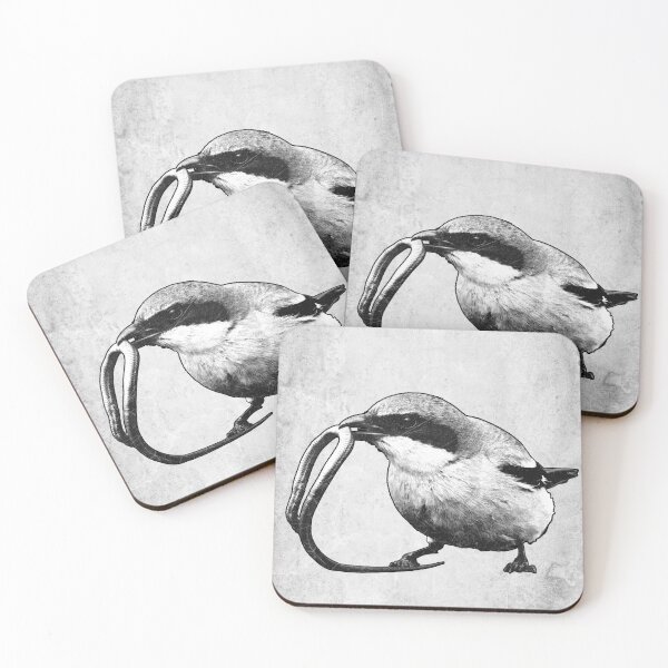 Item preview, Loggerhead Shrike Butcher Bird Etched Illustration designed and sold by Ghoul Enterprises.