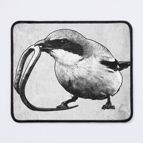 Item preview, Loggerhead Shrike Butcher Bird Etched Illustration designed and sold by Ghoul Enterprises.