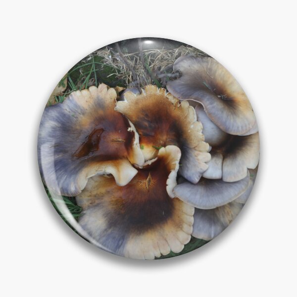 Item preview, Ghost Fungus 2 designed and sold by geof.