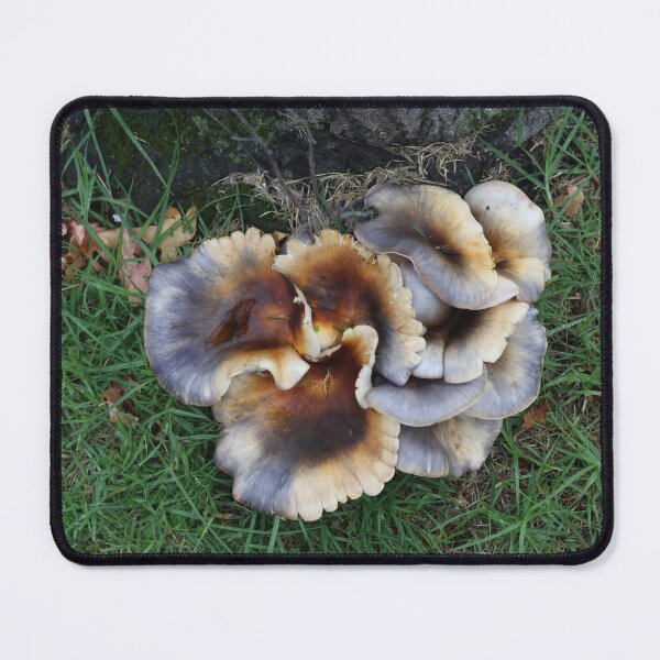 Item preview, Ghost Fungus 2 designed and sold by geof.