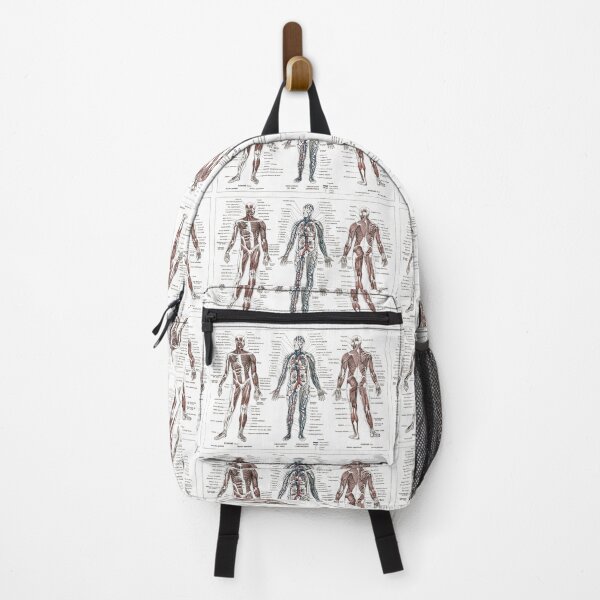 Item preview, French vintage human anatomy illustration designed and sold by Anne Londez Studio.