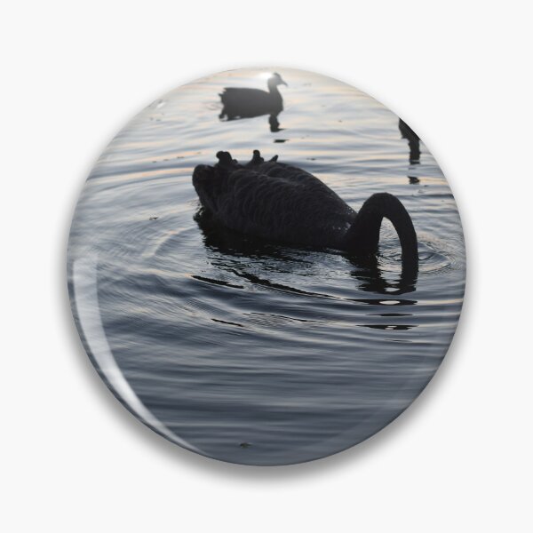 Item preview, Swan diving for water in the afternoon at Ironbark Lake designed and sold by getmybookstore.