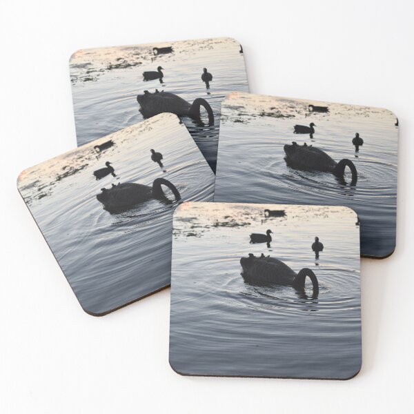 Item preview, Swan diving for water in the afternoon at Ironbark Lake designed and sold by getmybookstore.