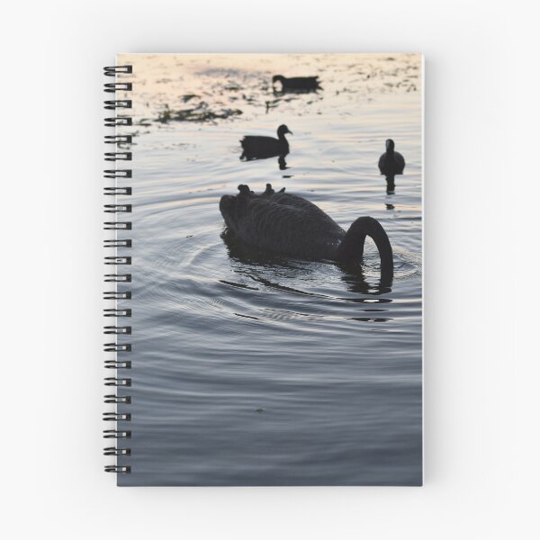 Item preview, Swan diving for water in the afternoon at Ironbark Lake designed and sold by getmybookstore.