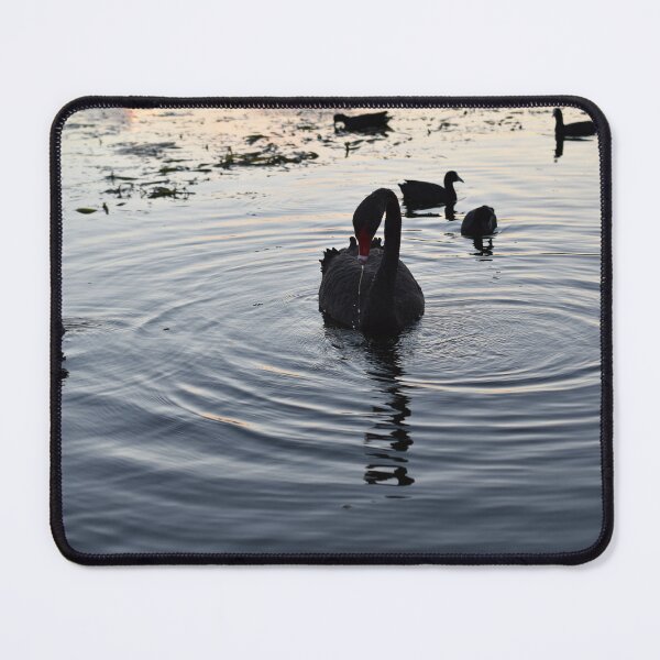 Item preview, Swan dripping water from nose designed and sold by getmybookstore.
