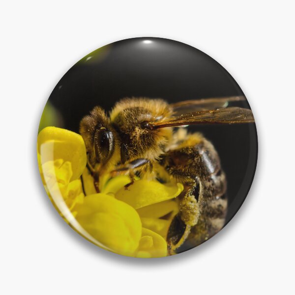 Item preview, Honey Bee on Yellow Blossom designed and sold by GraffiTimi.