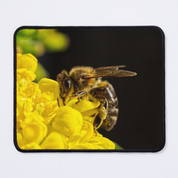 Item preview, Honey Bee on Yellow Blossom designed and sold by GraffiTimi.