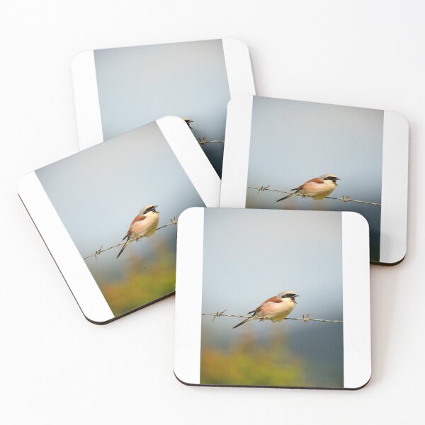 Item preview, Red Backed Shrike Perched on Barbed Wire Singing in Nature designed and sold by onubi.