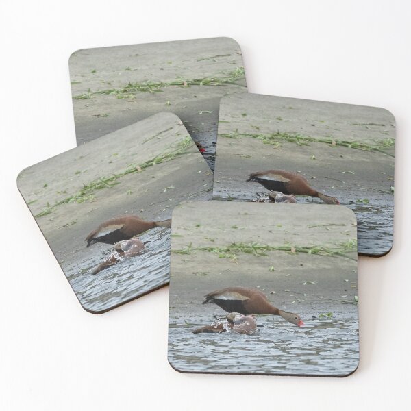 Item preview, Black-Bellied Whistling Ducks Bathing designed and sold by Pondside-Pics.