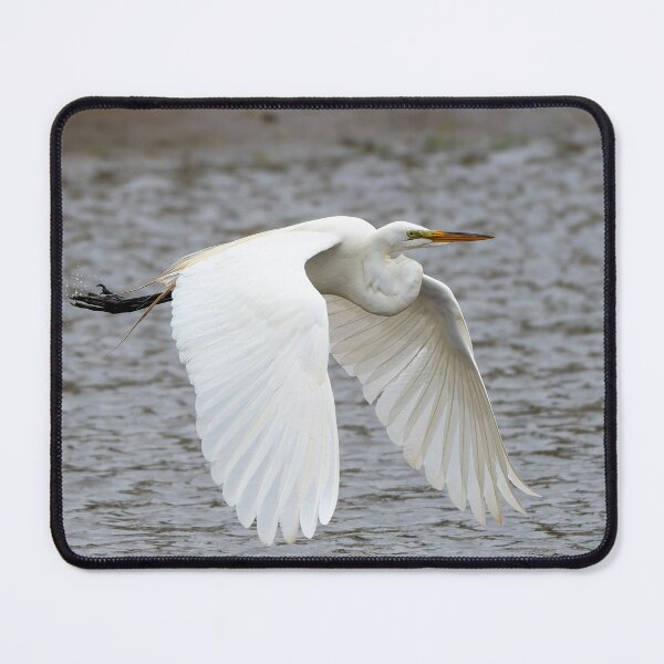 Item preview, Great Egret Flying designed and sold by Pondside-Pics.