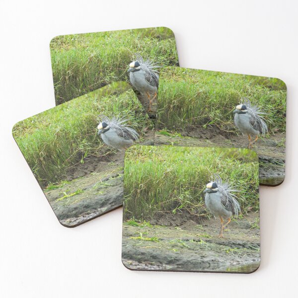 Item preview, Yellow-Crowned Night Heron Showing Off designed and sold by Pondside-Pics.