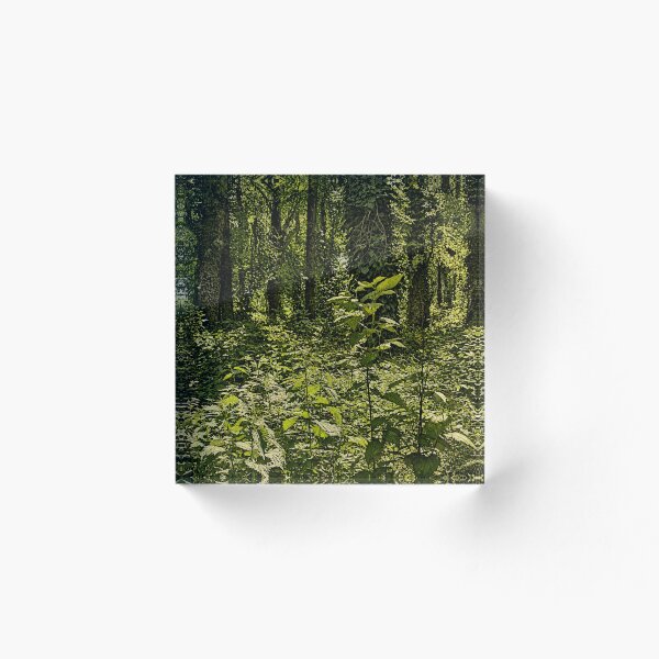 Artikelvorschau, Wilder Waldbewuchs entworfen und verkauft von InnerwayStudio.