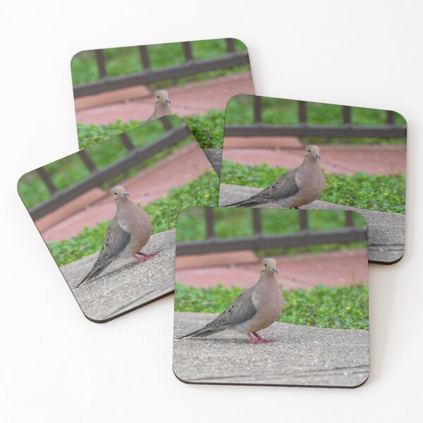Item preview, Mourning Dove in the Morning Light designed and sold by Pondside-Pics.