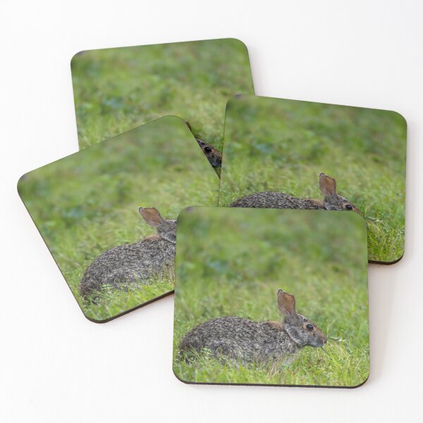 Item preview, Wild Rabbit Among Green Grass designed and sold by Pondside-Pics.