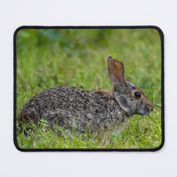 Item preview, Wild Rabbit Among Green Grass designed and sold by Pondside-Pics.