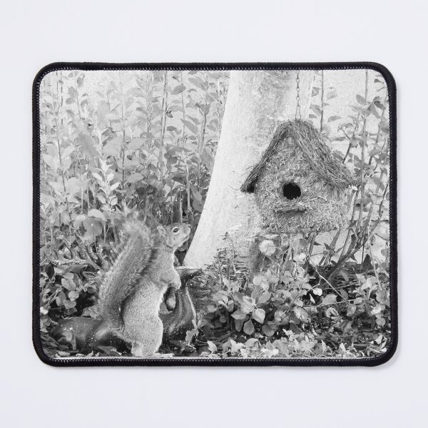 Item preview, Squirrel and Birdhouse designed and sold by sky earth human.