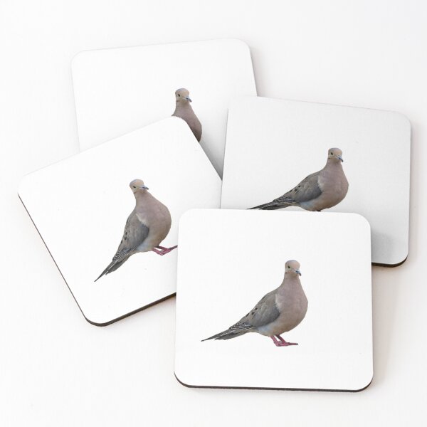 Item preview, Mourning Dove Without Background designed and sold by Pondside-Pics.