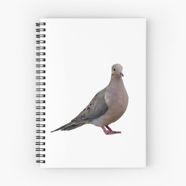 Item preview, Mourning Dove Without Background designed and sold by Pondside-Pics.