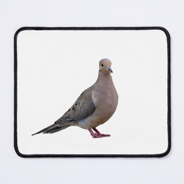Item preview, Mourning Dove Without Background designed and sold by Pondside-Pics.