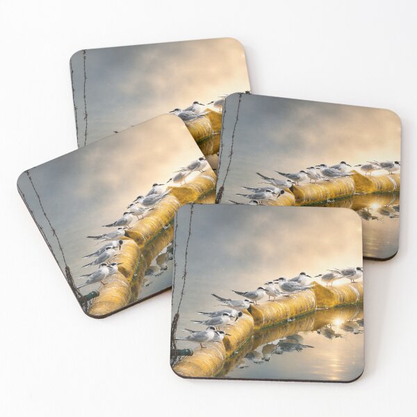 Item preview, Forster’s Tern Hangout designed and sold by Kimberly Palmer.