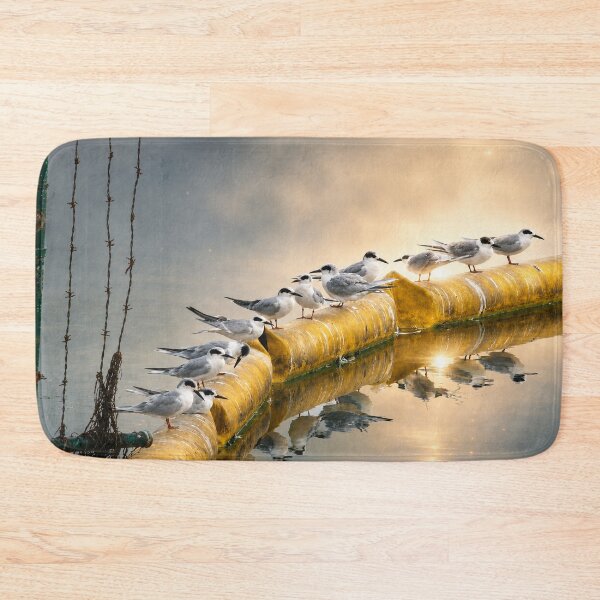 Item preview, Forster’s Tern Hangout designed and sold by Kimberly Palmer.