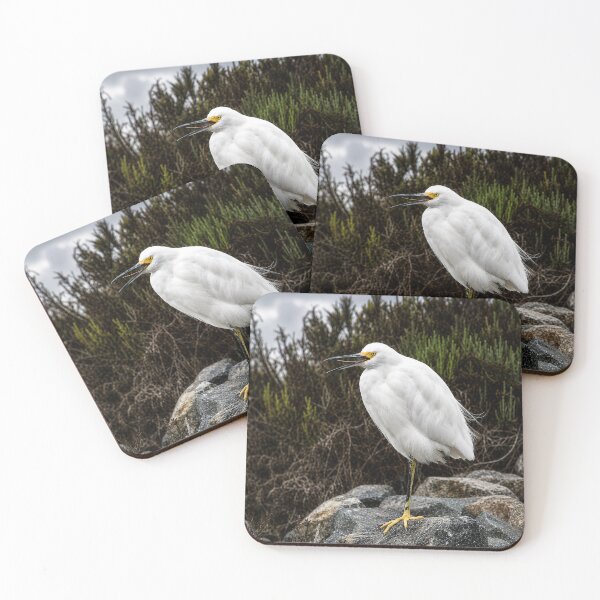 Item preview, Snowy Egret on Coastal Rocks designed and sold by Kimberly Palmer.