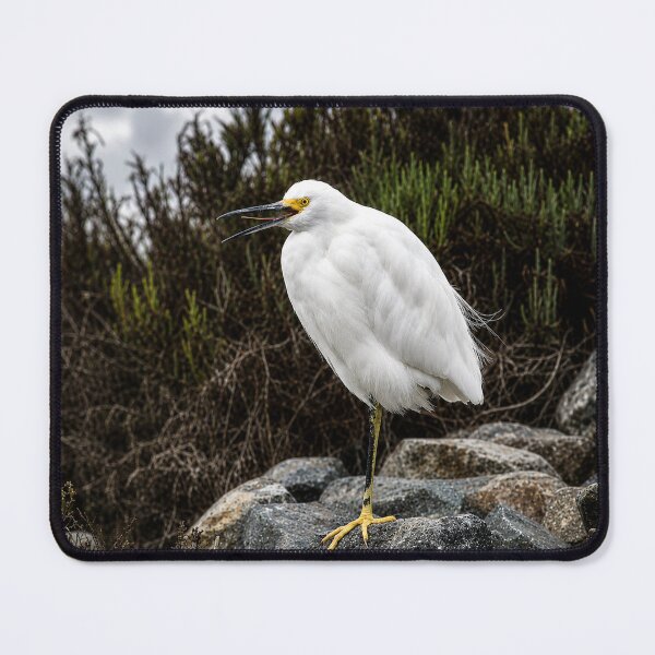 Item preview, Snowy Egret on Coastal Rocks designed and sold by Kimberly Palmer.