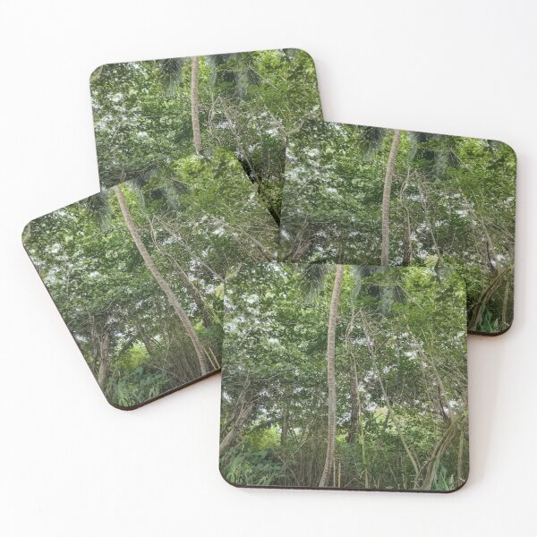 Item preview, Coconut Under the Trees in Rincon designed and sold by The Bori Effect.