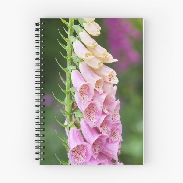 Item preview, Foxglove designed and sold by leebeelphoto.