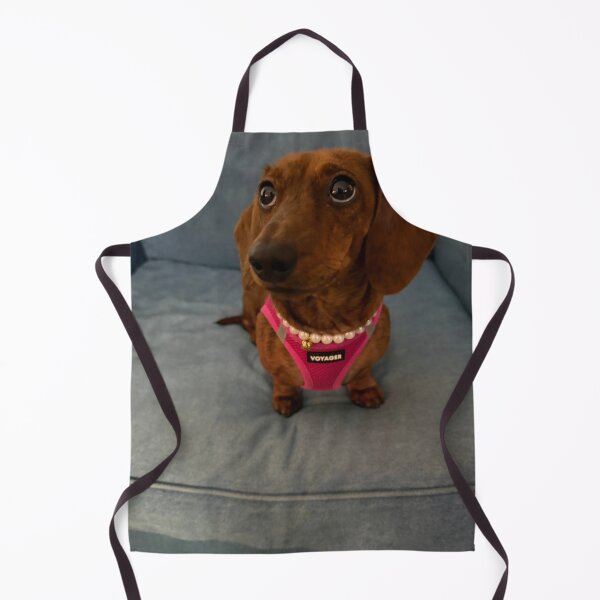 Item preview, Fab Dachshund designed and sold by c35wilson.