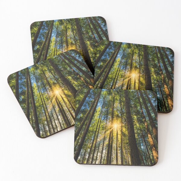 Item preview, Forest Cathedral of Light designed and sold by Kimberly Palmer.