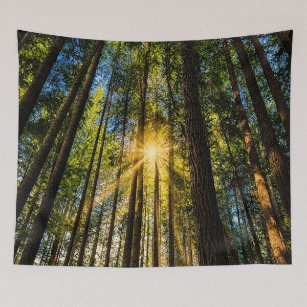 Item preview, Forest Cathedral of Light designed and sold by Kimberly Palmer.