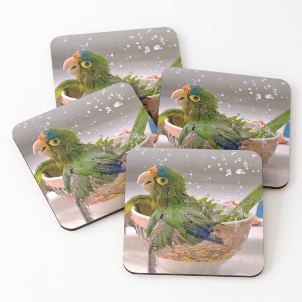 Item preview, Bird on a water bowl designed and sold by hkonestudio.