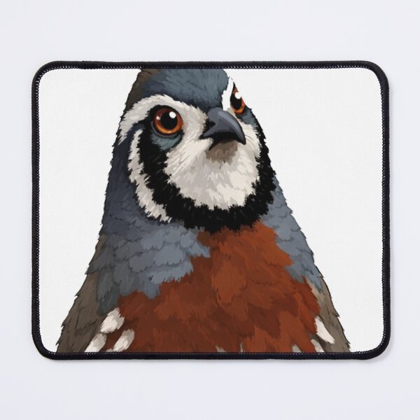 Item preview, Mountain Quail a Mountain Quail a Mountain Quail designed and sold by devonclemon.