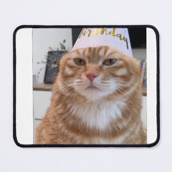 Item preview, happiest boy in the world cat designed and sold by cloudzer0000.