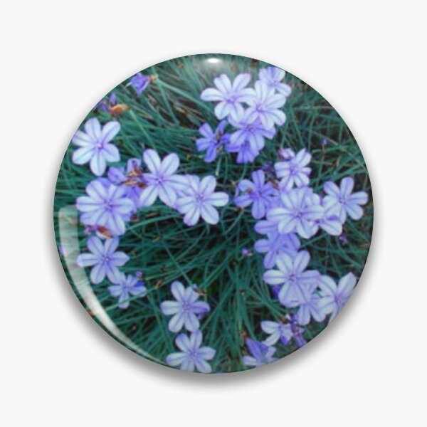 Item preview, Aphyllanthus in a field designed and sold by MirelleHDB.