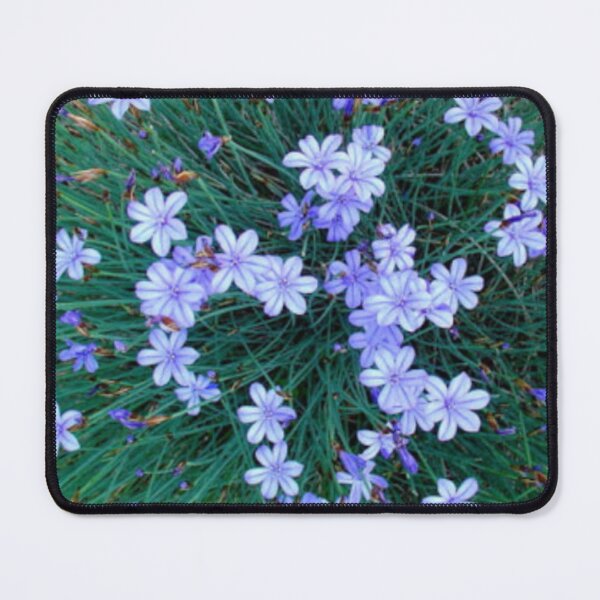 Item preview, Aphyllanthus in a field designed and sold by MirelleHDB.