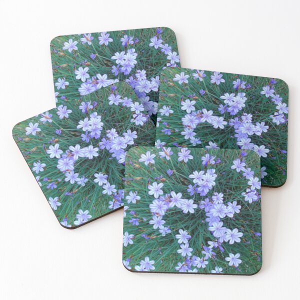 Item preview, Aphyllanthus in a field designed and sold by MirelleHDB.