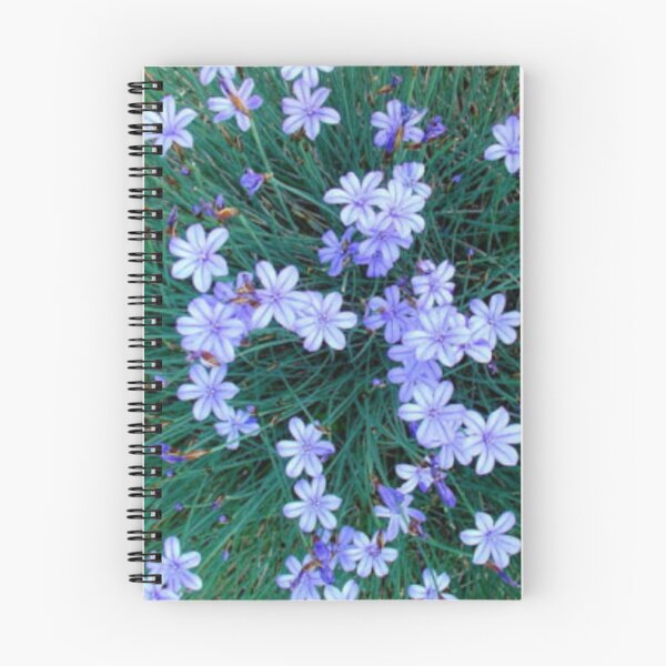 Item preview, Aphyllanthus in a field designed and sold by MirelleHDB.