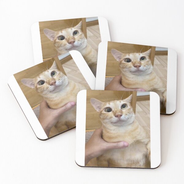 Item preview, silly goose cat designed and sold by cloudzer0000.