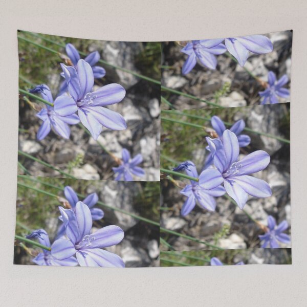 Item preview, An Aphyllanthus designed and sold by MirelleHDB.