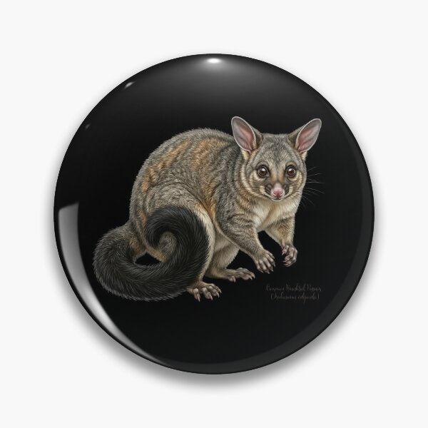 Item preview, Midnight Marauder: Common Brushtail Possum (Trichosurus vulpecula) designed and sold by FreiherrPK.