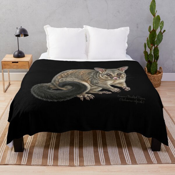 Item preview, Midnight Marauder: Common Brushtail Possum (Trichosurus vulpecula) designed and sold by FreiherrPK.