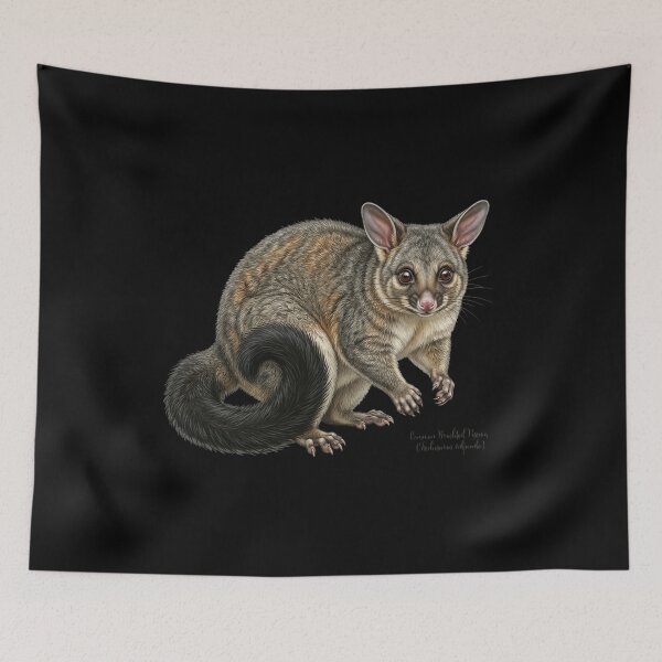 Item preview, Midnight Marauder: Common Brushtail Possum (Trichosurus vulpecula) designed and sold by FreiherrPK.
