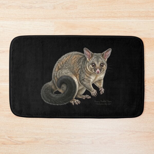 Item preview, Midnight Marauder: Common Brushtail Possum (Trichosurus vulpecula) designed and sold by FreiherrPK.