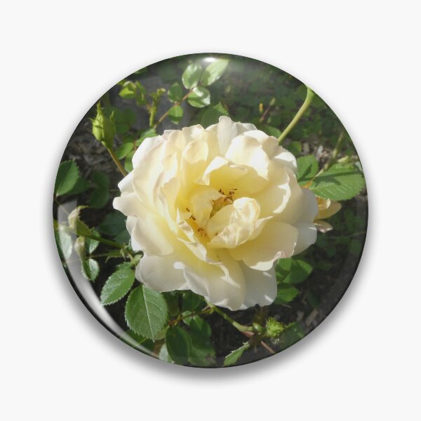 Item preview, a yellow rose designed and sold by MirelleHDB.
