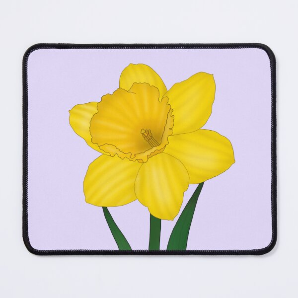 Item preview, Carlton Daffodil designed and sold by Floralfusion.