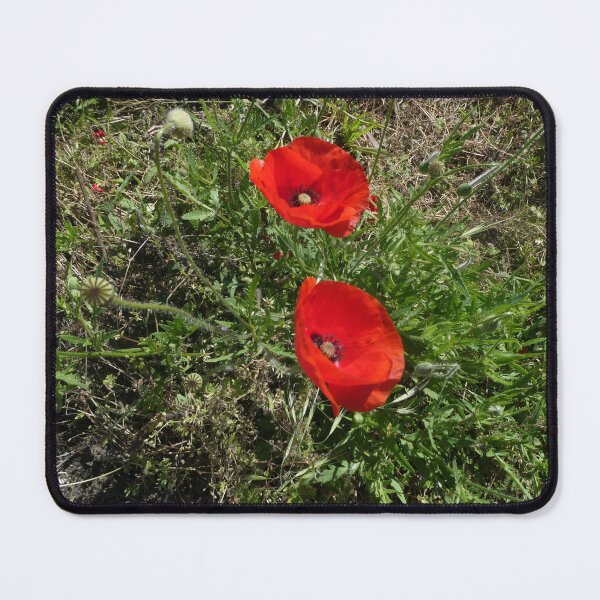 Item preview, 2 poppies designed and sold by MirelleHDB.
